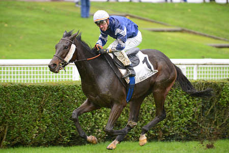 Actualités Hippiques